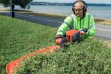 A person using a hedge trimmer to trim bushes near a lakeside road.