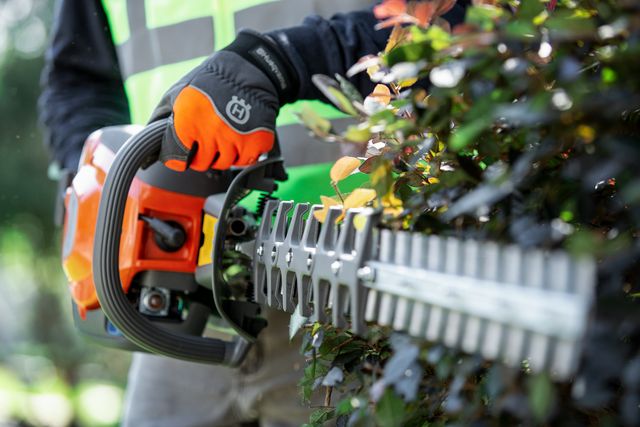 A person trimming a hedge with a hedge trimmer.