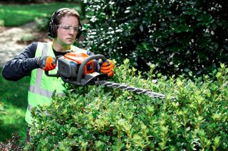 A person trimming a hedge with a hedge trimmer in a garden setting.