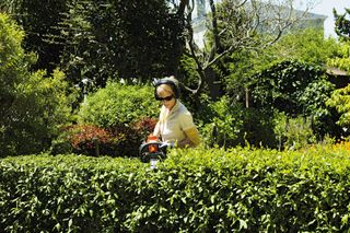 A person using a hedge trimmer to trim a hedge in a garden.