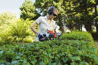 A person trimming a hedge in a garden using a hedge trimmer.