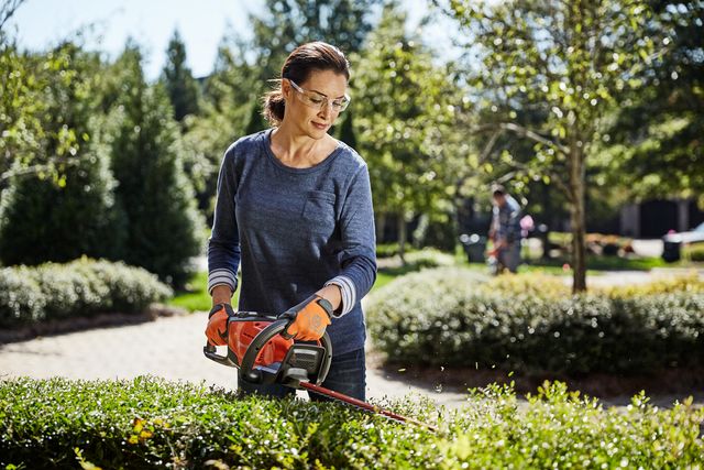 A person trimming hedges in a garden using a hedge trimmer.