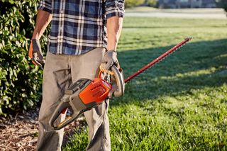 A person holding a hedge trimmer in a garden setting.