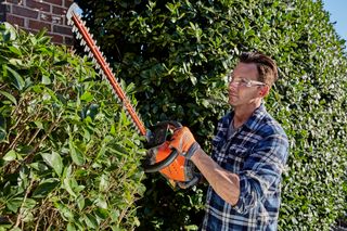 A person using a hedge trimmer to trim a large bush in a garden.