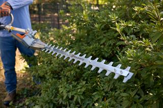 A person trimming bushes with a Husqvarna hedge trimmer in a garden.