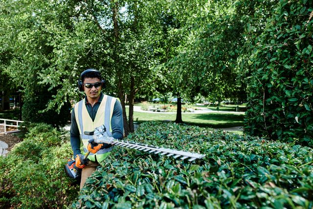 A person using a hedge trimmer to trim bushes in a park setting.