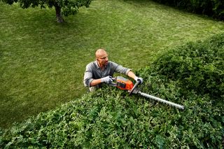 Osoba používajúca nožnice na živý plot na zastrihávanie veľkého živého plotu v záhrade.