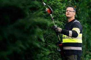 A person using a hedge trimmer to trim bushes in a garden.