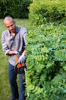 Una persona che taglia una siepe alta con un tagliasiepi in un giardino.