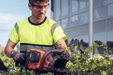 A person using a hedge trimmer to trim bushes in a garden.