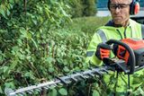 A person using a hedge trimmer to cut branches in a dense bush area.