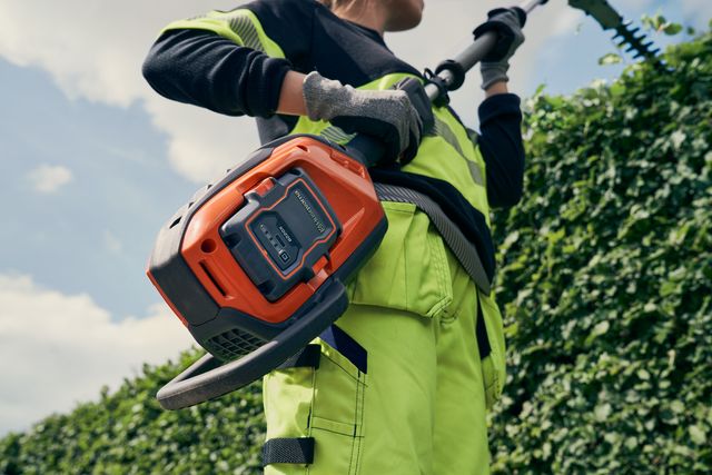 A person using a hedge trimmer to trim a tall hedge, with focus on the battery compartment.