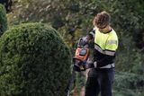 A person trimming a hedge with a power tool in a garden setting.