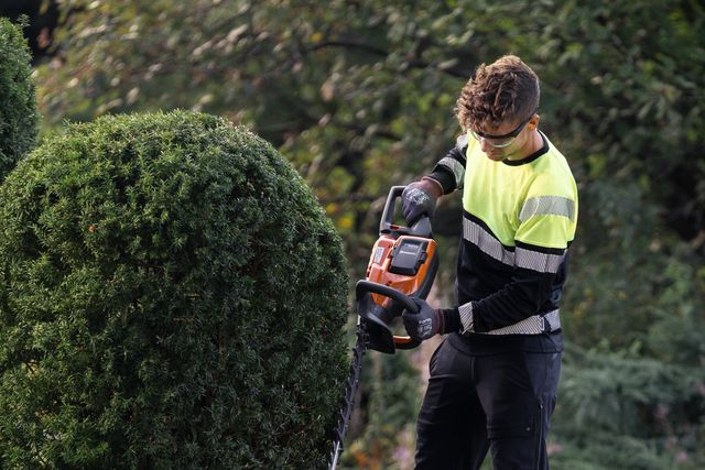 Eine Person, die in einer Gartenumgebung eine Hecke mit einem Elektrowerkzeug schneidet.