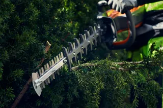 Close-up of a person using a hedge trimmer to cut branches.