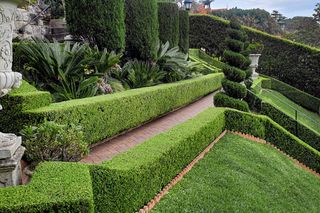 En velstelt hage med hekker, topiary og steinurner langs en mursteinsti.