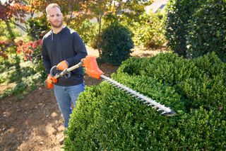 A person using a hedge trimmer to shape a bush in a garden.