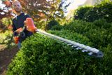 A person trimming a hedge with a hedge trimmer in a garden.