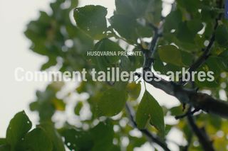 How to prune 1m2s 16:9 FR