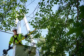 A worker in a bucket lift using a pole saw to trim tree branches.