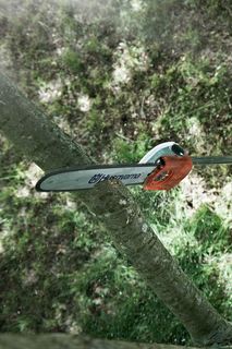Una persona que utiliza una sierra de barra para cortar ramas de árboles desde una posición elevada.