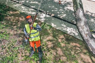 Professionista con potatore ad asta Husqvarna in ambiente urbano