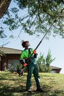 A person using a pole saw to trim tree branches in a residential garden.