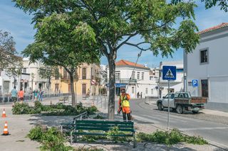 Radnik koji koristi stubnu testeru za obrezivanje grana sa drveta u urbanom području.