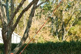 A person using a pole saw to trim tree branches in a garden.