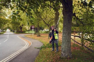 A person using a pole saw to trim branches from a tree beside a road.