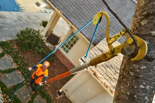 A person using a tree pruner to trim branches from the ground.