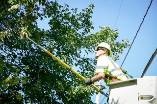 A worker in a bucket truck trimming tree branches with a pole saw.