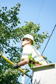 A worker in a bucket truck trimming tree branches with a pole saw.