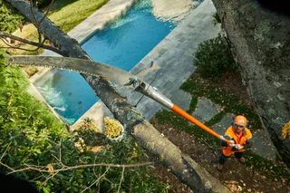 A person using a pole saw to trim branches near a swimming pool.