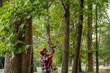 Une personne utilise une scie à perche pour tailler des branches d’arbres dans un parc.