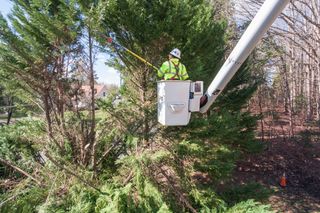 A worker in a bucket lift trimming tree branches in a residential area.