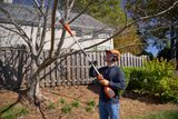 A person using a pole saw to trim tree branches in a residential garden.