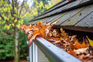 Close-up view of a house gutter filled with autumn leaves, with a tree in the background.