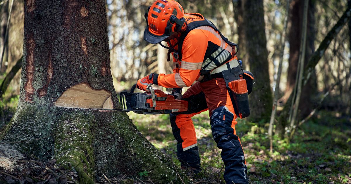 個人用身体保護具とワークウェア | Husqvarna JP