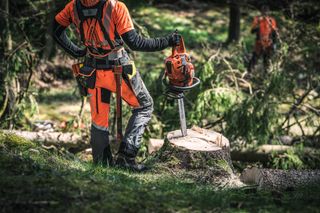 A person in work gear holding a chainsaw, standing on a tree stump in a forest.
