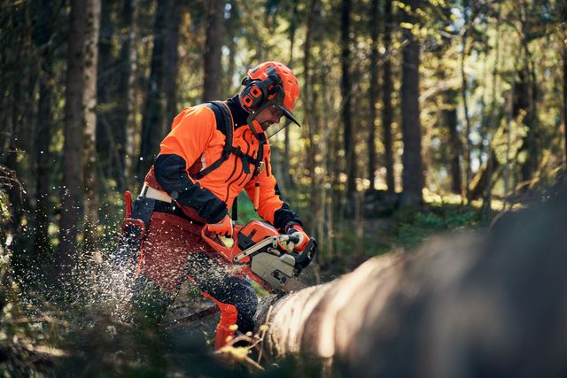 Una persona che utilizza una motosega per tagliare un albero caduto in un ambiente forestale.