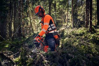 En person som använder en motorsåg för att skära genom tät skogsundervegetation.