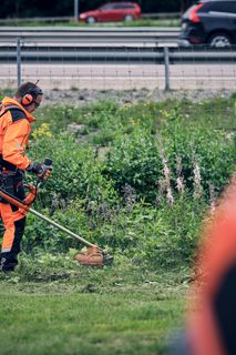 Una persona che utilizza un trimmer per tagliare l'erba lungo una strada.