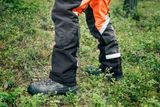 Person wearing work gear standing in a forest setting.