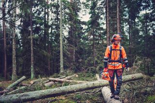 A person in work gear walking on fallen tree logs in a forest, carrying a chainsaw.