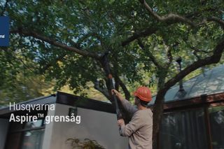 Aspire Pruner w Pole Hybrid 16x9 SE