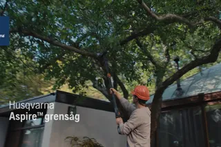 Aspire Pruner w Pole Hybrid 16x9 SE