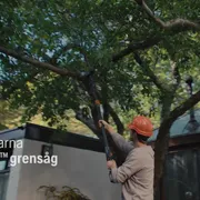 Aspire Pruner w Pole Hybrid 16x9 SE