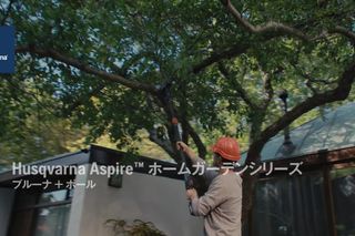 Aspire Pruner w Pole Hybrid 16x9 JA