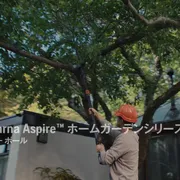 Aspire Pruner w Pole Hybrid 16x9 JA